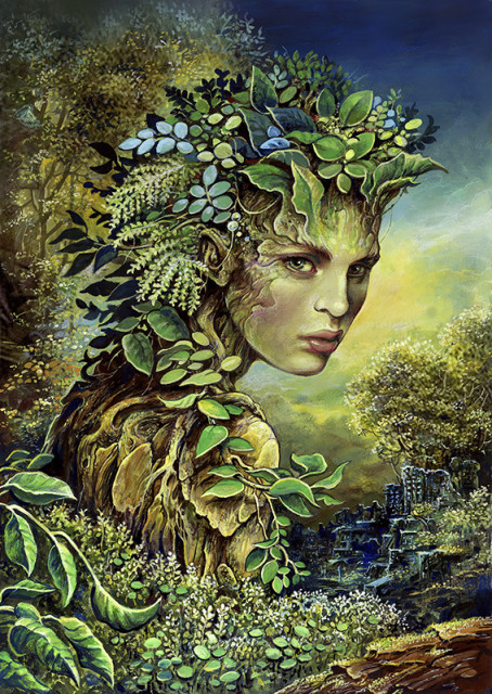 dryad-65-46-cm-389