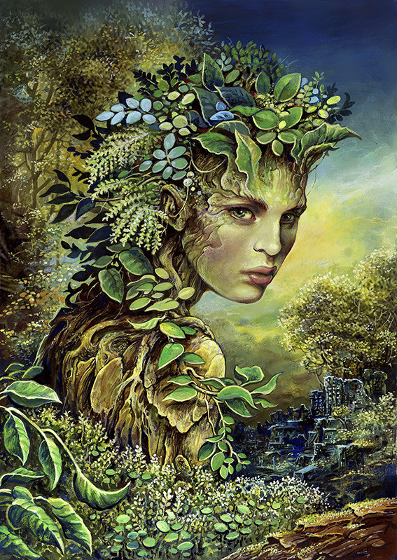 dryad-65-46-cm-389